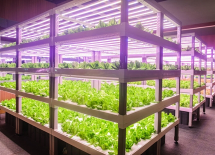 Vertical farms humidity control
