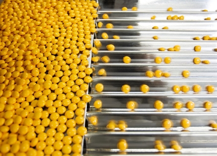 Pharmaceutical manufacturing humidification