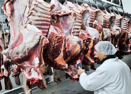 JetSpray reduces carcass weight loss