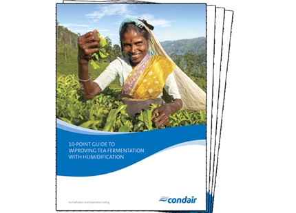 Guide to Improving Tea Fermentation