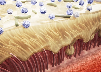 Dry air and our airway defence system