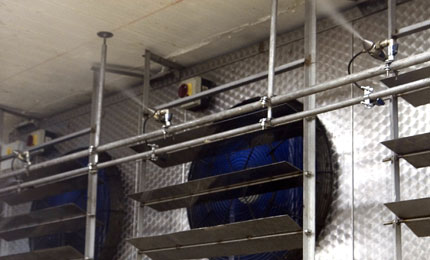 Condair humidifier makes fish factory 1 million pounds per year