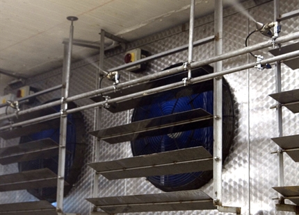 JetSpray makes fish factory $1M per year