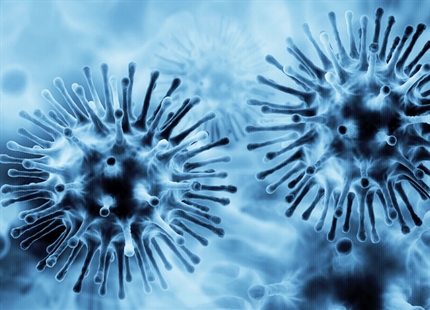 Metz J A, Finn A 2015