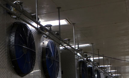 Condair humidifier makes fish factory 1 million pounds per year