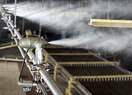 Humidifiers enhance fermentation at Bajrang Tea