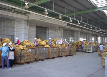 Cigarette manufacturing