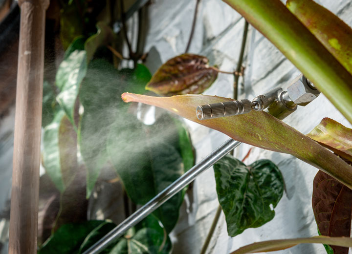 Chelsea Physic Garden has recently installed a Condair ML high-pressure spray humidifier