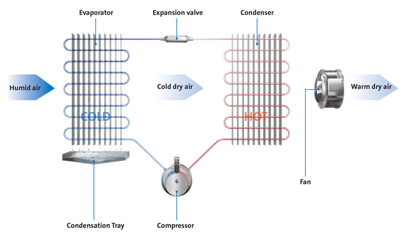 Condensing dehumidifier's drying process