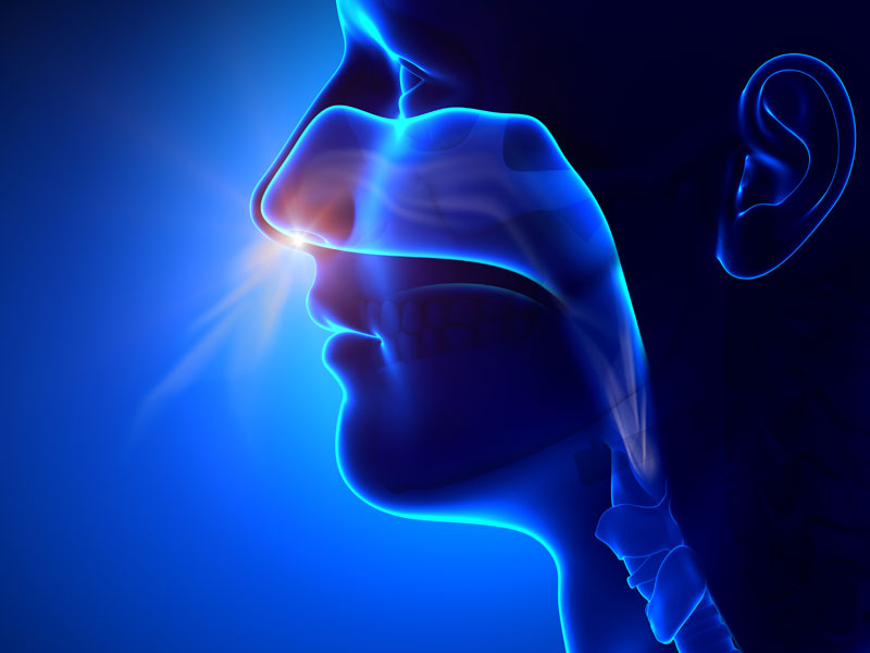 Breathing dry air impairs our respiratory defense mechanism against airborne pollutants